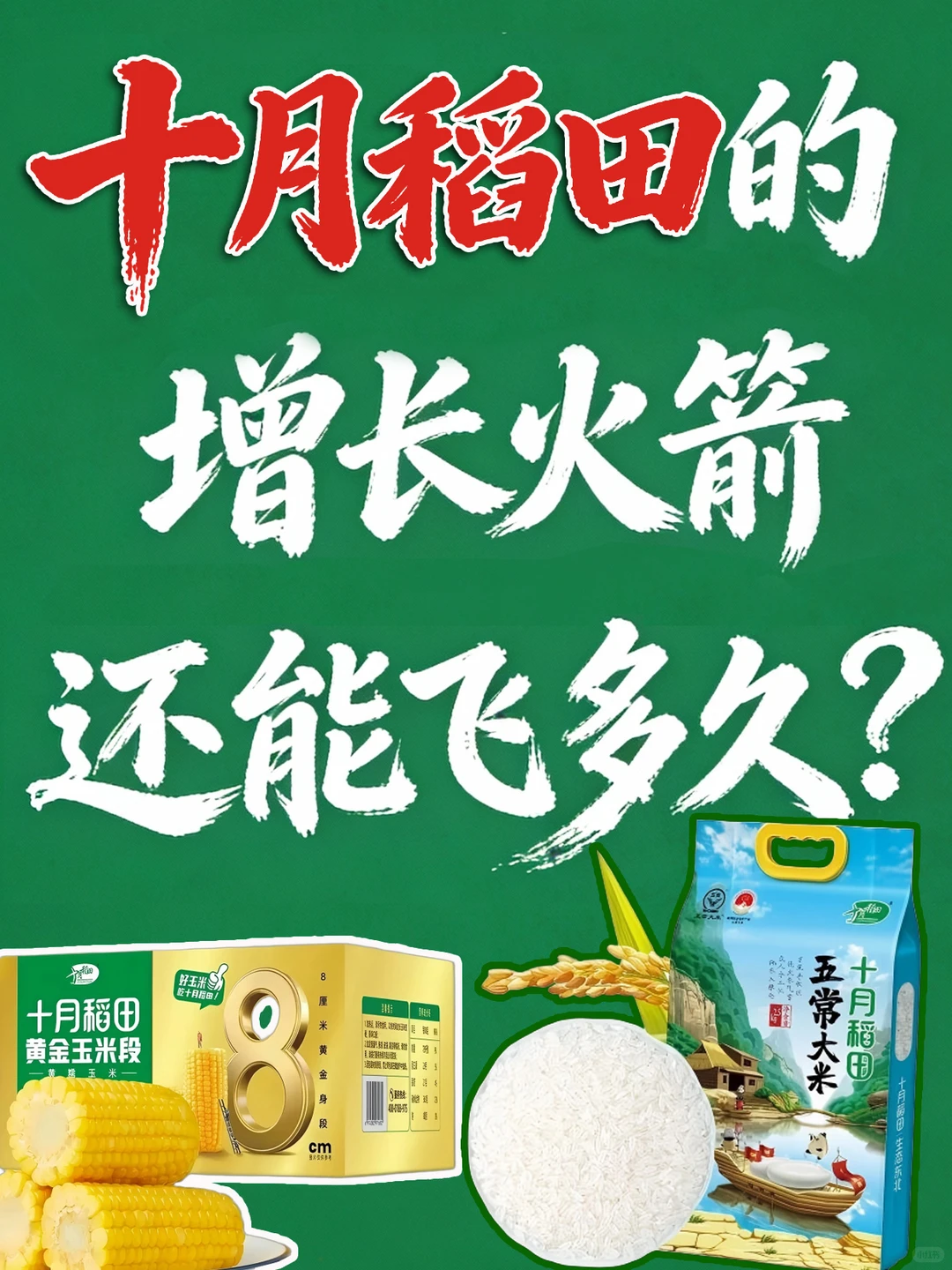 十月稻田：一个新消费品牌的战略迷思与归途