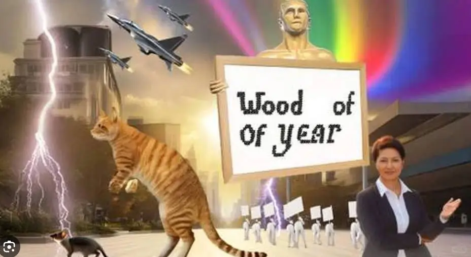 韦氏字典25年之年度词汇是AI垃圾“slop”