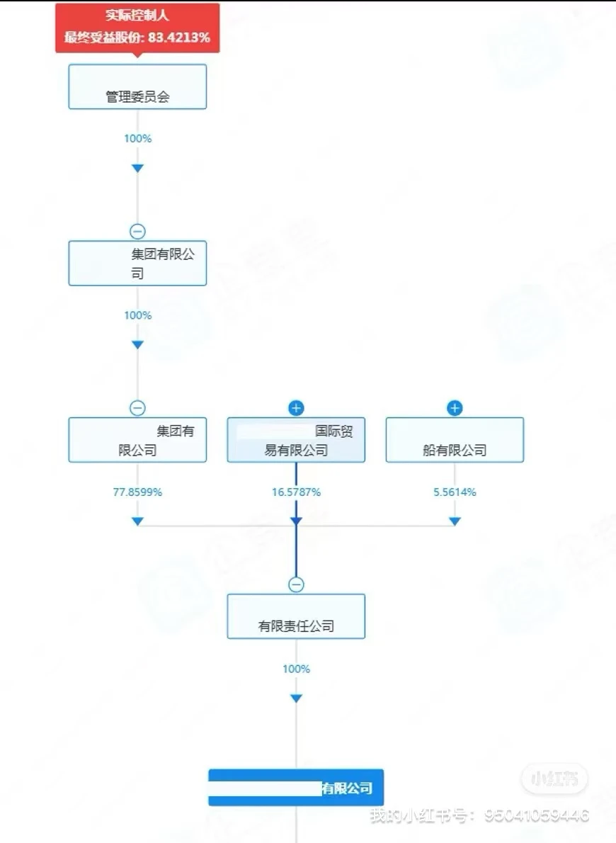 真实案例：一家中小企业的“背书”逆袭之路