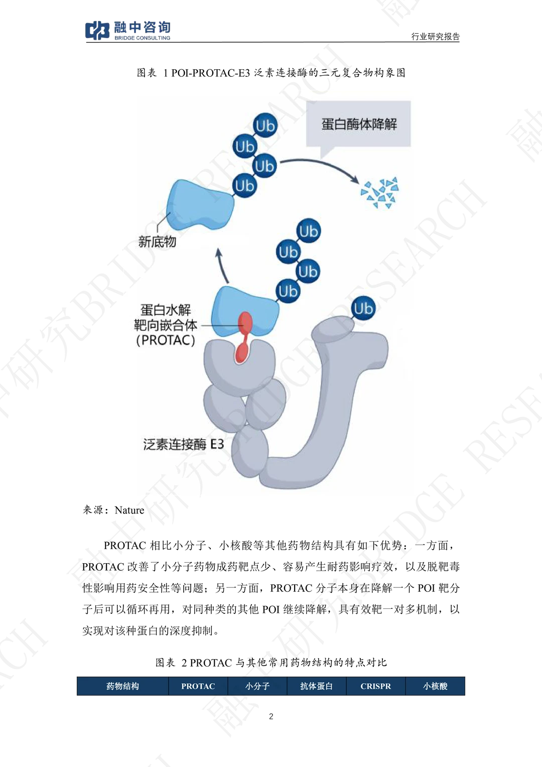 PROTAC创新药行业研究报告