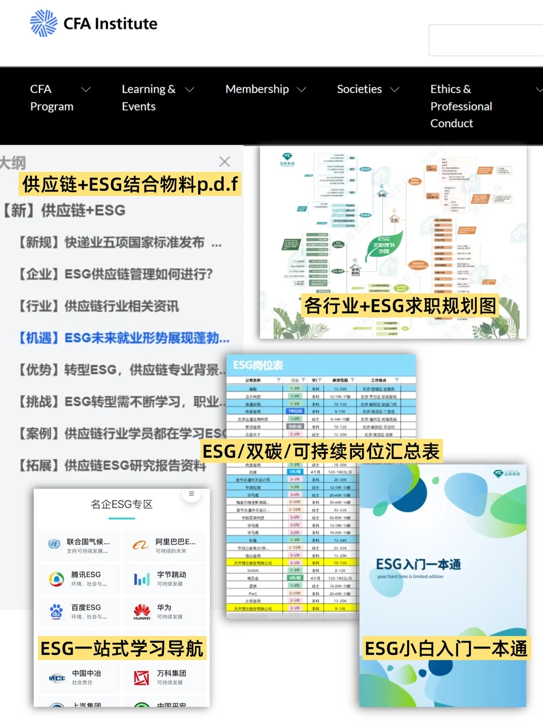 瞬间不急了,供应链有自己的铁饭碗~