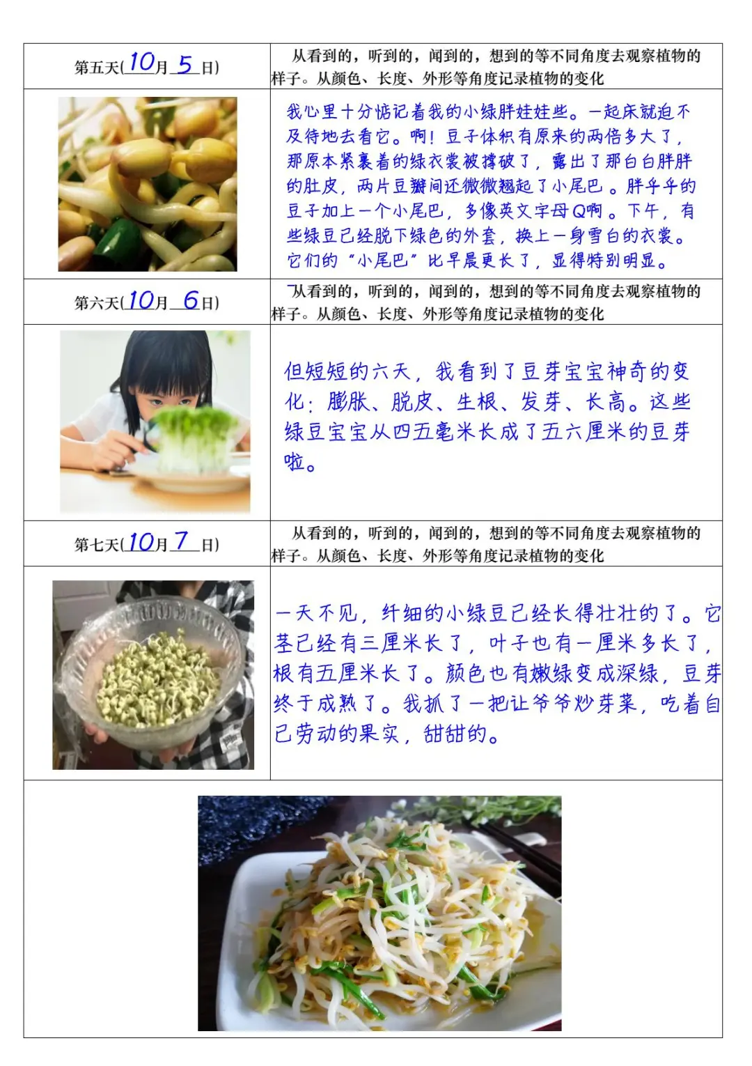 四上语文第三单元观察日记习作表