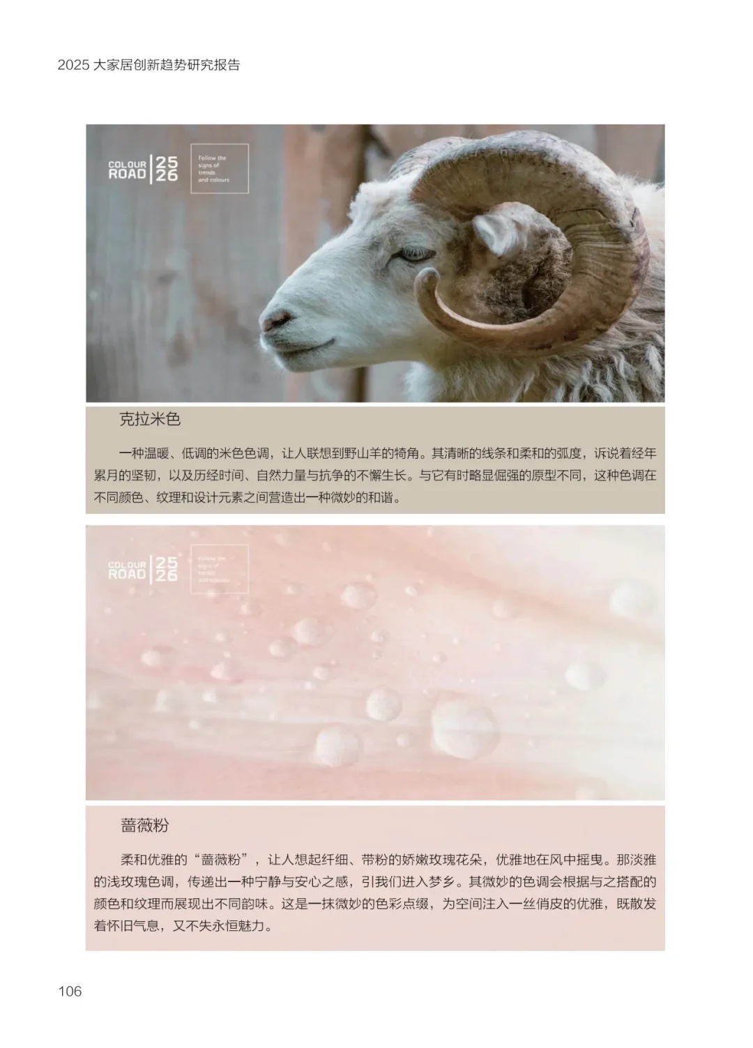 2025 大家居创新趋势研究报告-设计与色彩