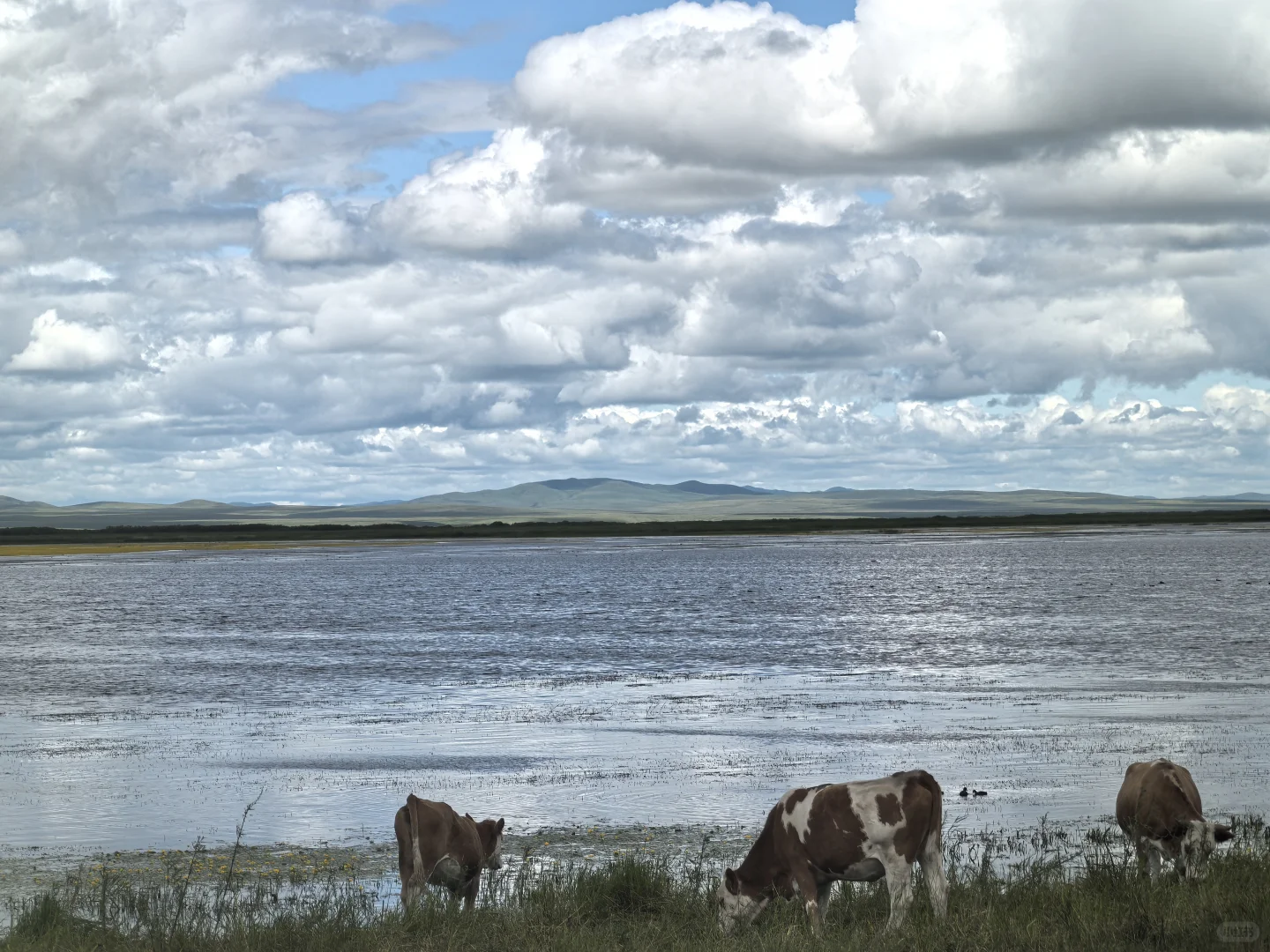 筚路蓝缕,我的口腔创业日记