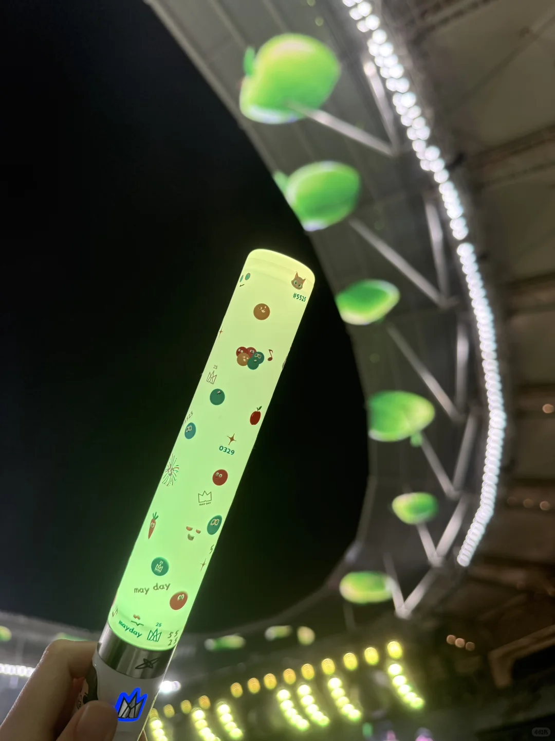 2025年五月天软玻璃年度报告