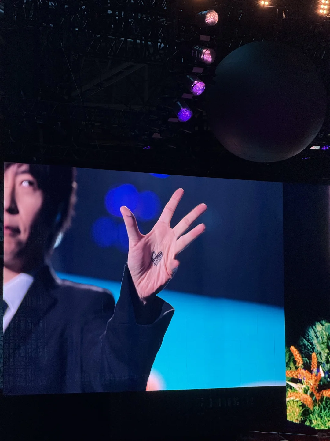 2025年五月天软玻璃年度报告