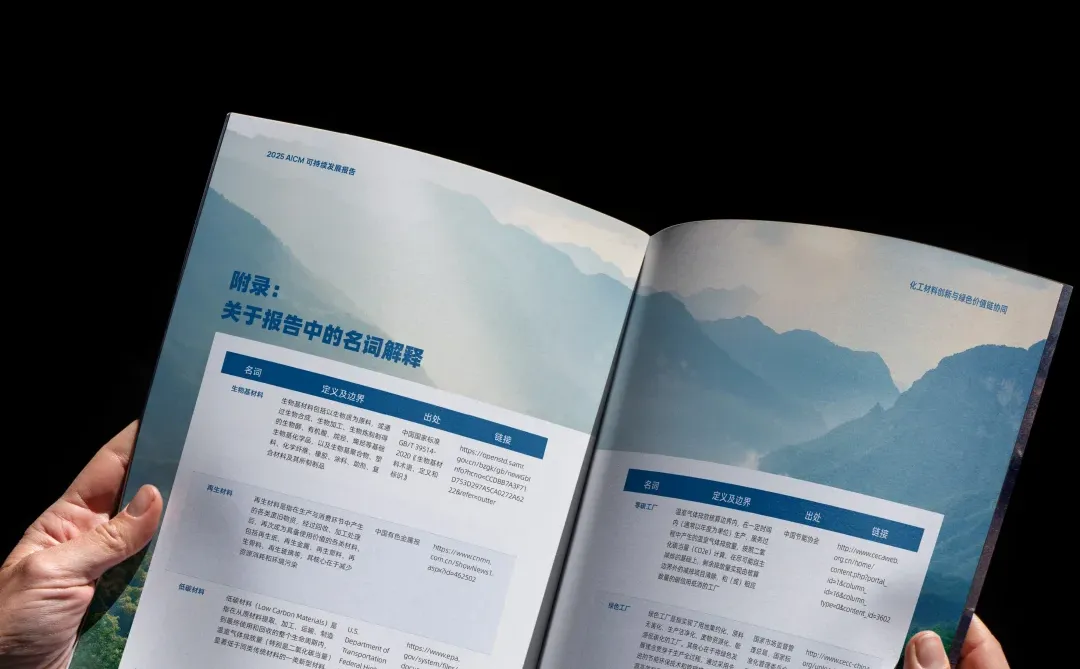 从1.0到2.0：我们可持续发展报告设计进化史