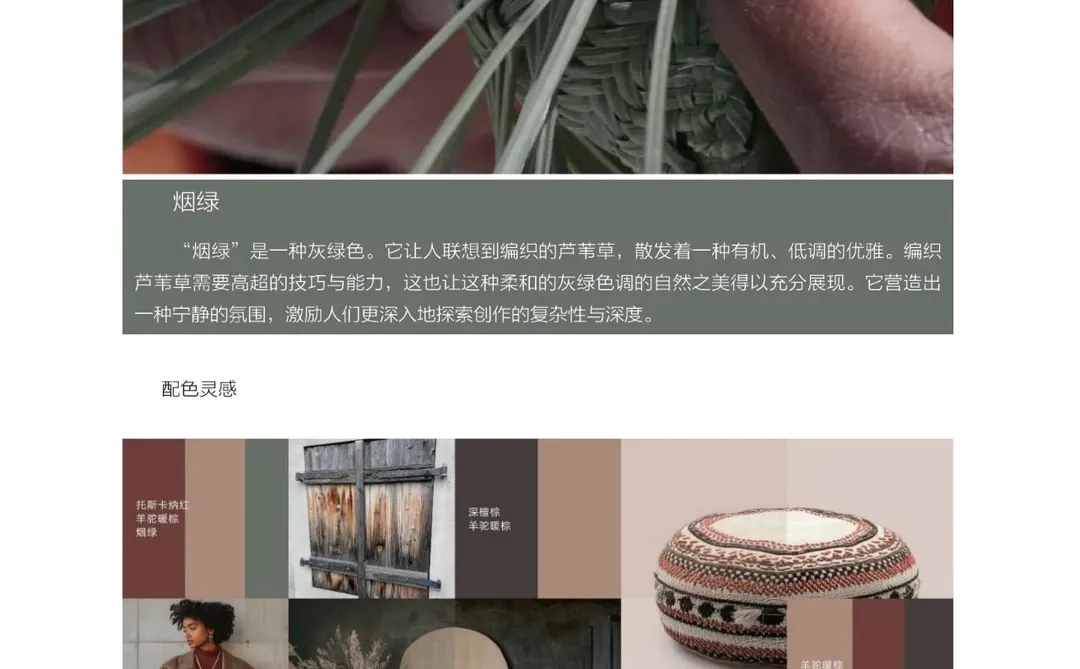 2025 大家居创新趋势研究报告-设计与色彩