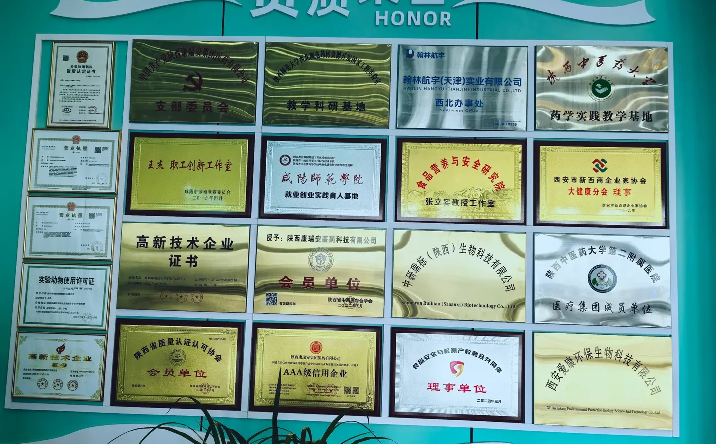 备案检测稳定性报告