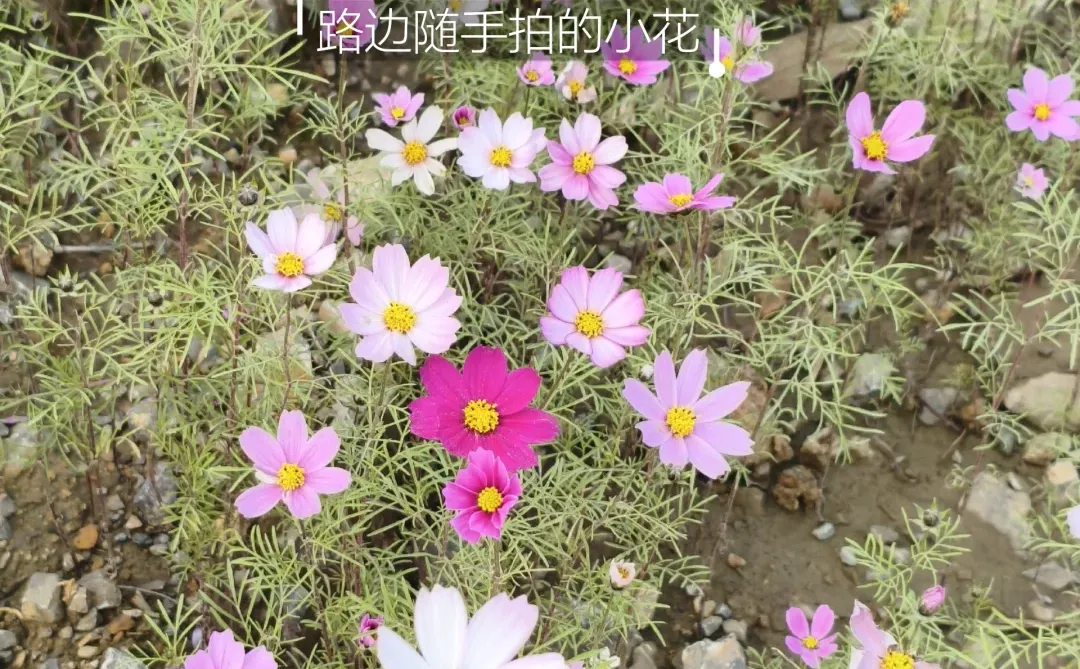 跨境电商选品不要瞎蒙!6个实操角度直接抄