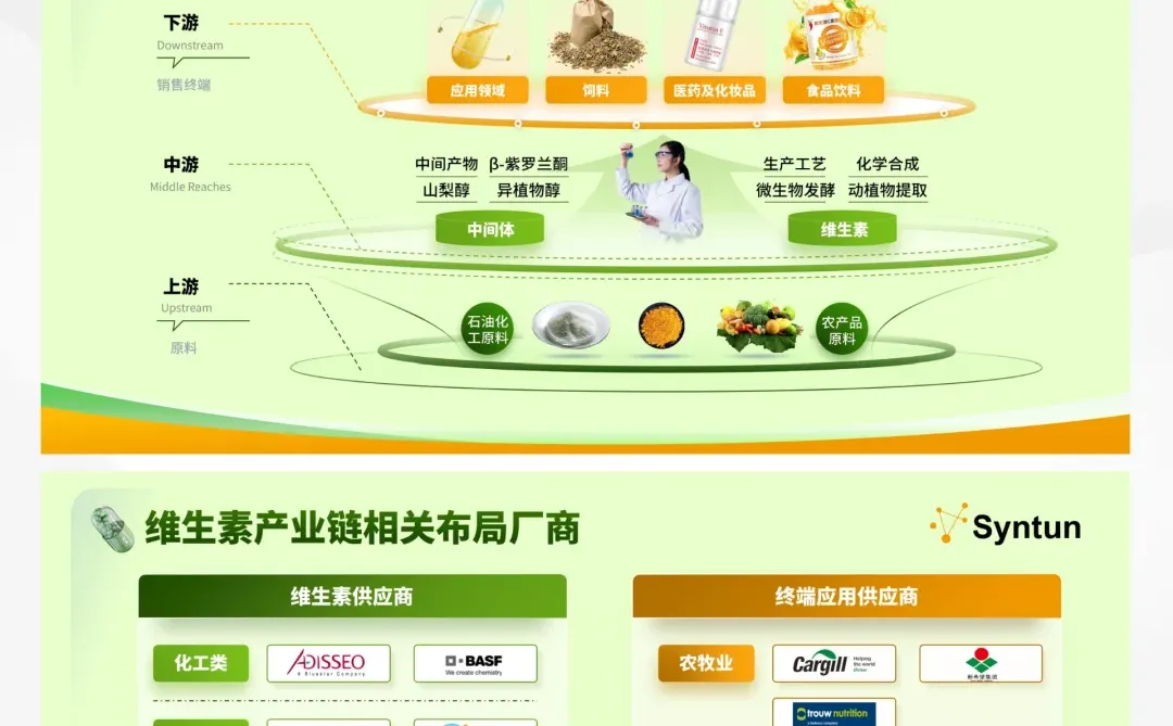 定制改稿007期｜维生素行业发展报告