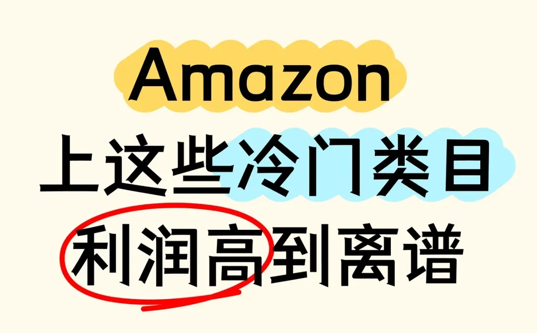 Amazon 上这些冷门类目利润高到离谱
