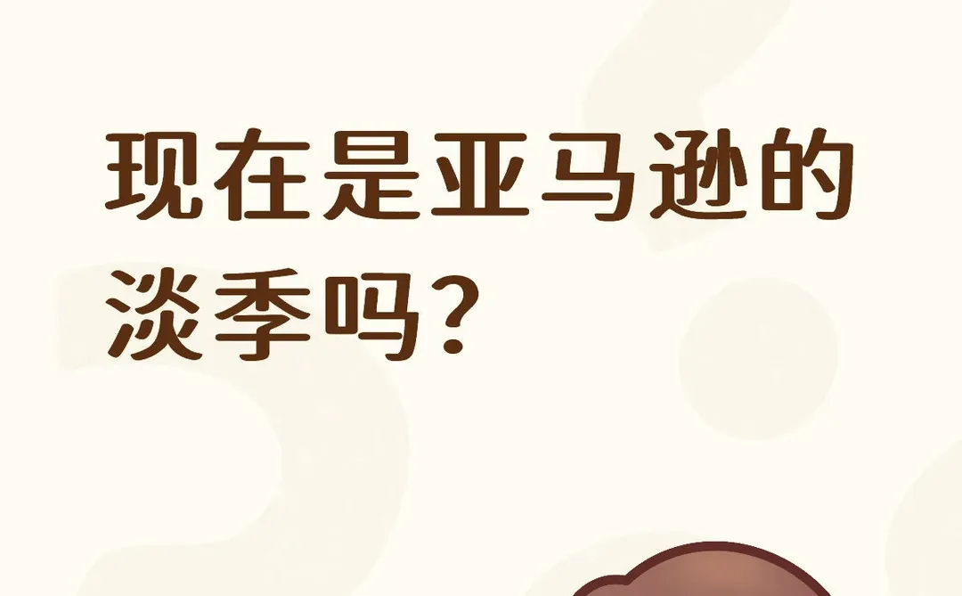 现在是亚马逊的淡季吗？