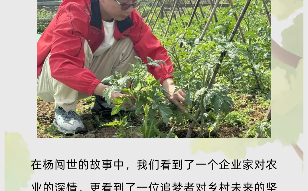 95后农场主杨闯世，互联网大厂到农场主理人