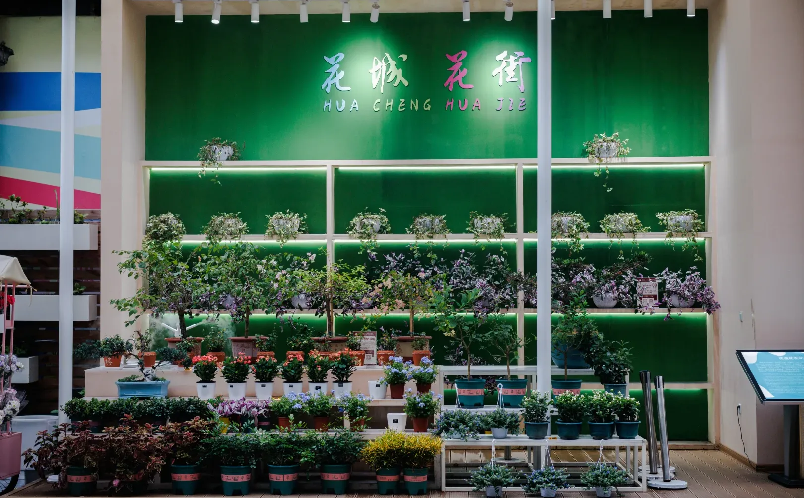 古典与现代完美融合的城市