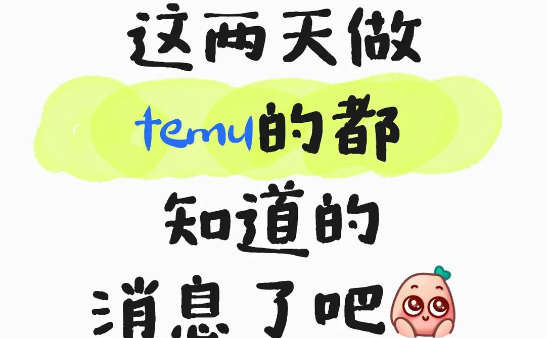 在 Temu 摸爬滚打大半年!终于悟透圈内人私