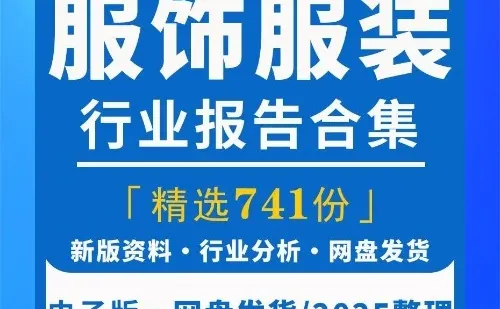 2025服饰服装纺织行业市场研究报告