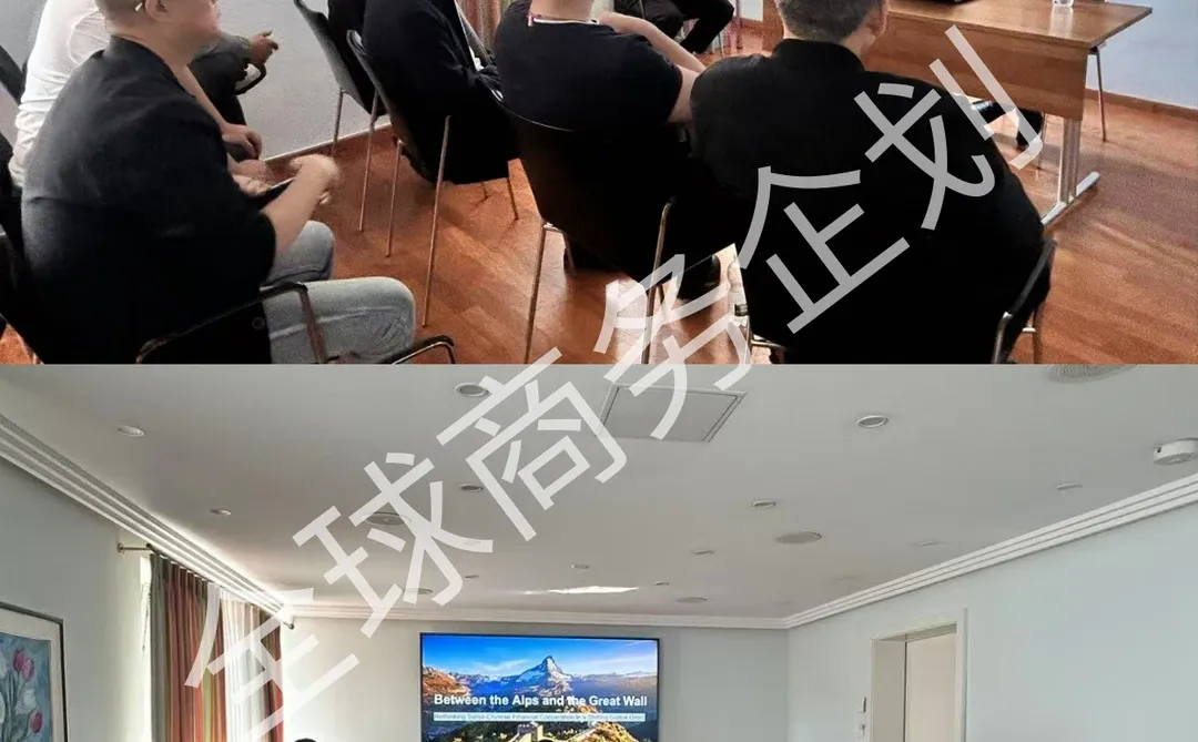 德国瑞士新能源行业商务考察 | 成功案例