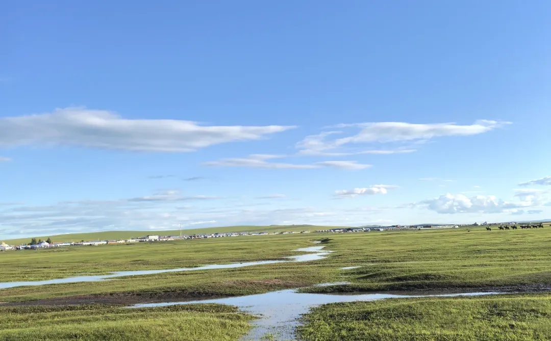 筚路蓝缕,我的口腔创业日记
