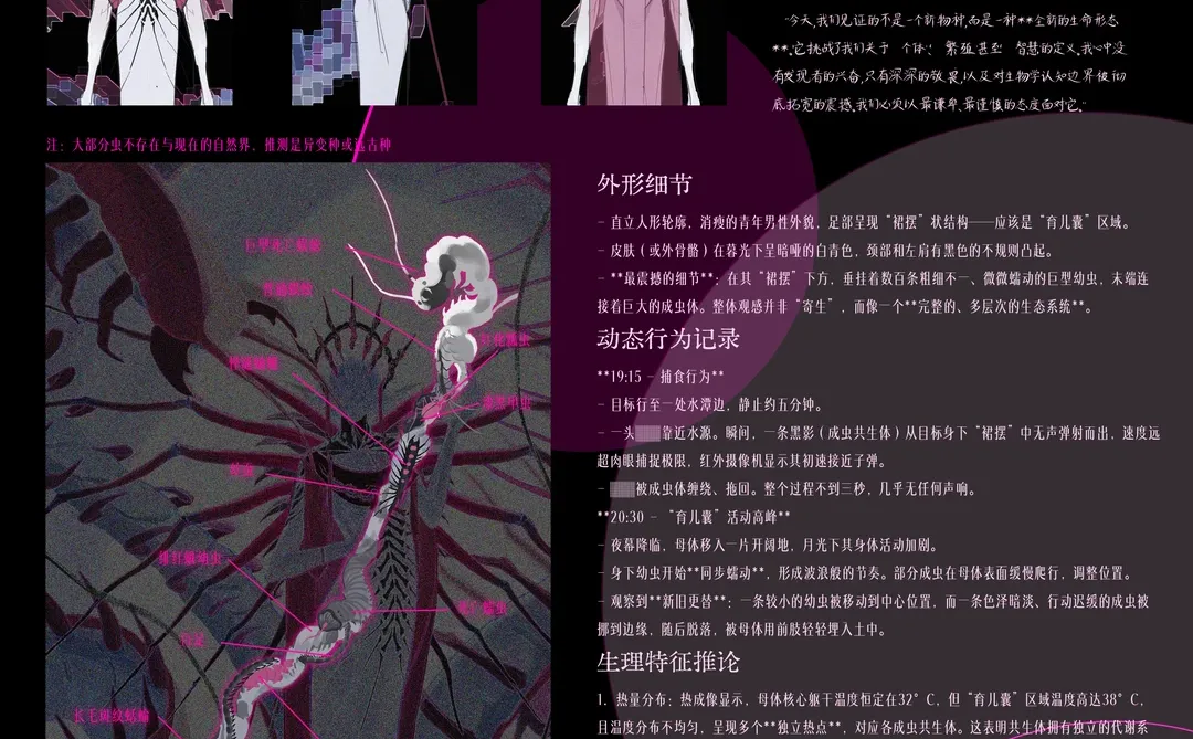 实地观察报告：编号＃母巢＃