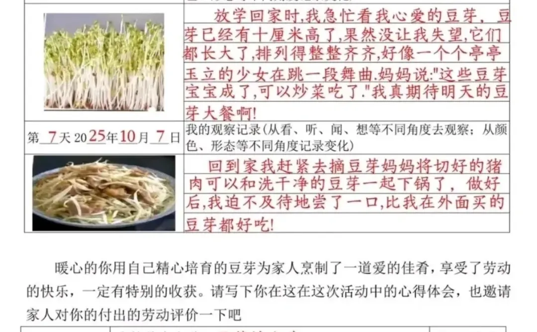 四年级上册语文,豆芽生长观察记录表