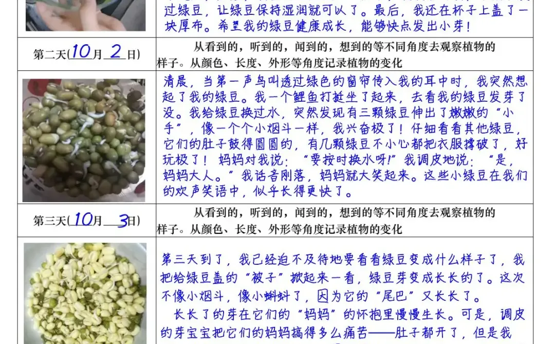 四上语文第三单元观察日记习作表