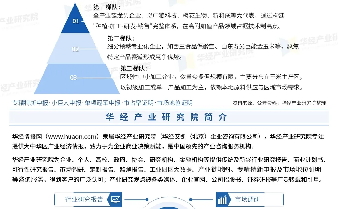 2026年中国玉米深加工行业深度研究报告