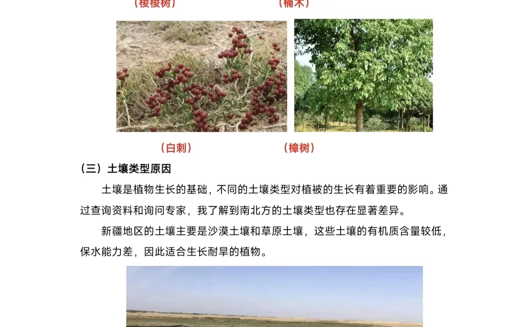 写作分享|青少年科学调查报告