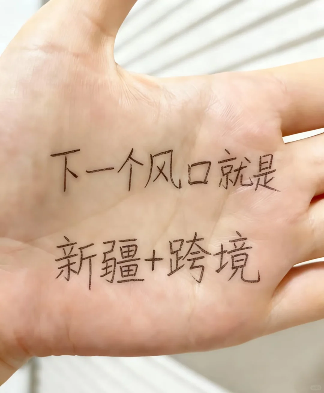 下一个风口就是新疆+跨境电商