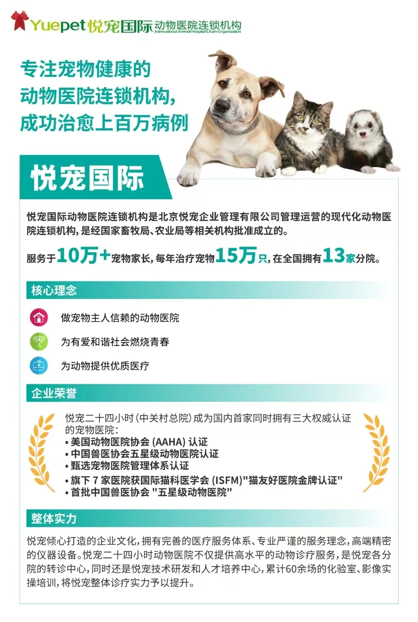 宠物行业是爆发式增长的“黄金赛道”!