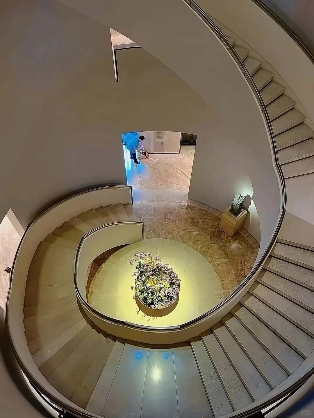 有人去新加坡吗(12.16-3.31)直出泛太平洋?