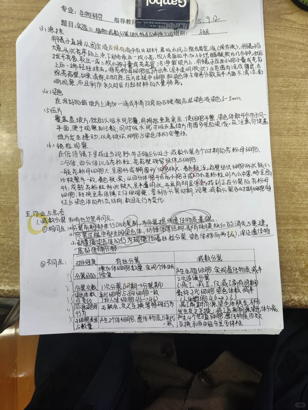 植物减数分裂玻片标本的制备与观察