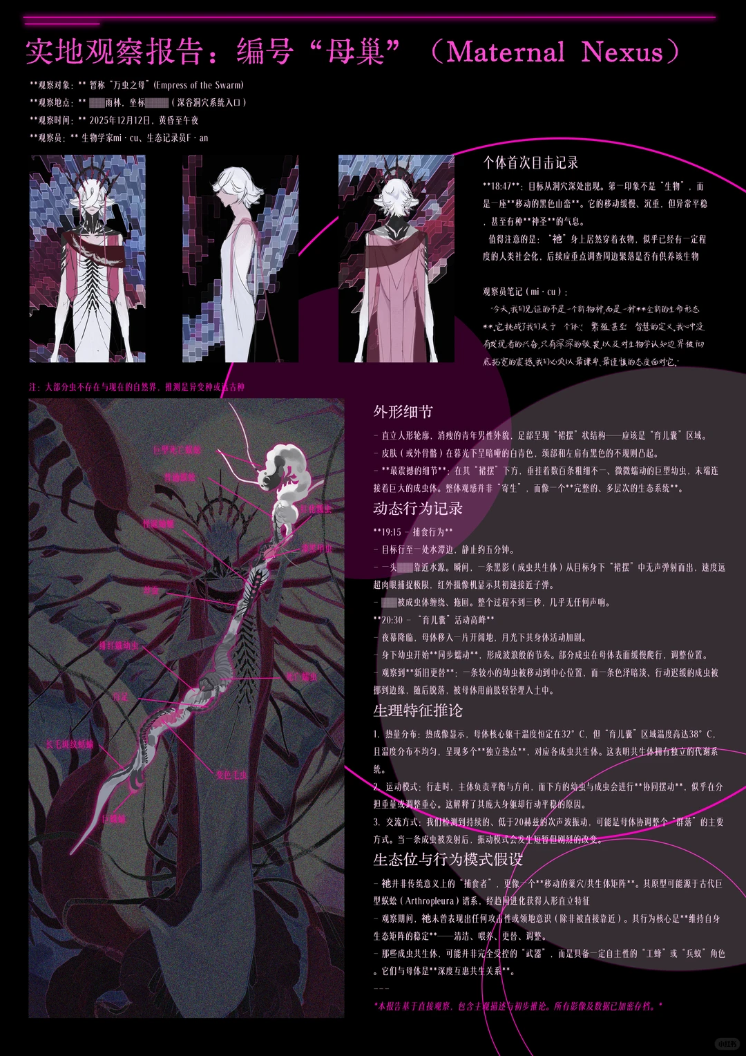 实地观察报告：编号＃母巢＃