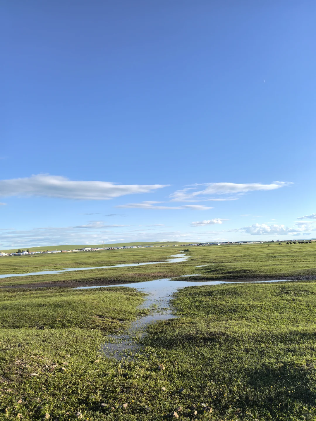 筚路蓝缕,我的口腔创业日记
