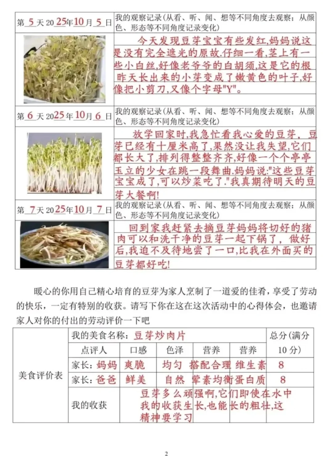 四年级上册语文,豆芽生长观察记录表