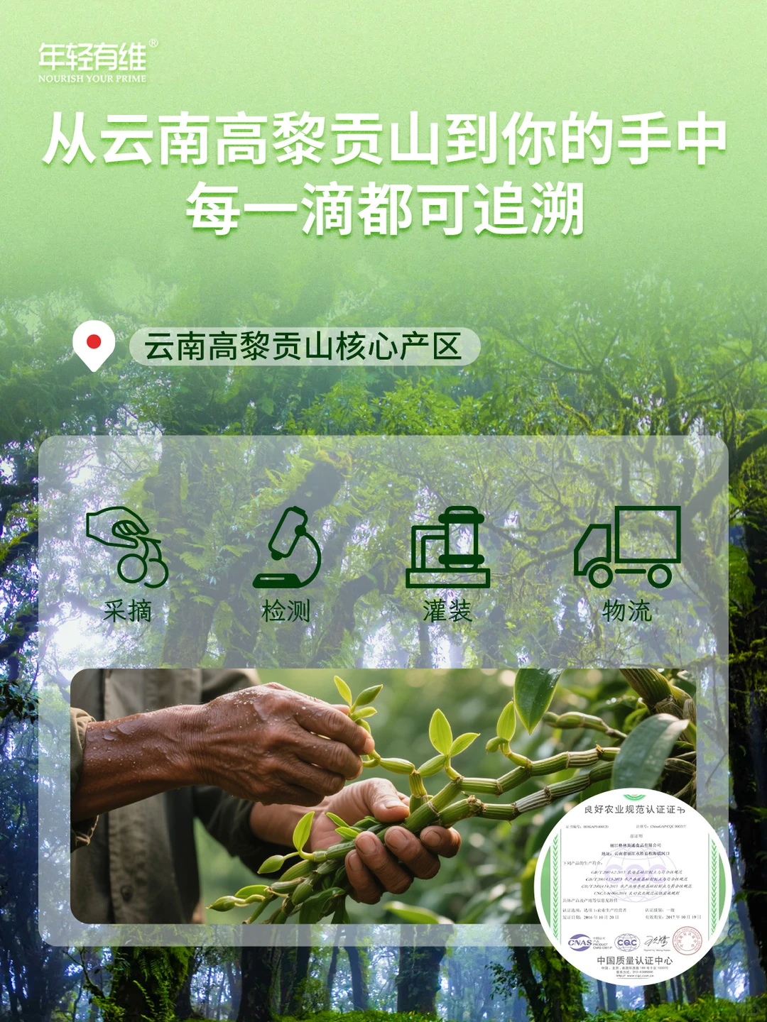 每一口都是安心?年轻有维检测报告全公开