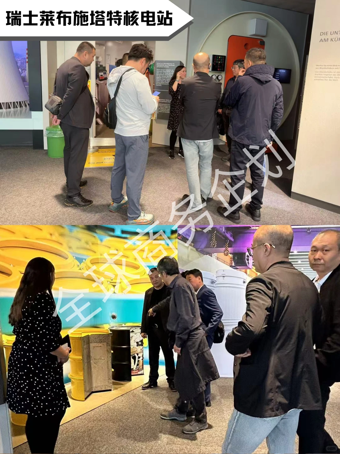 德国瑞士新能源行业商务考察 | 成功案例