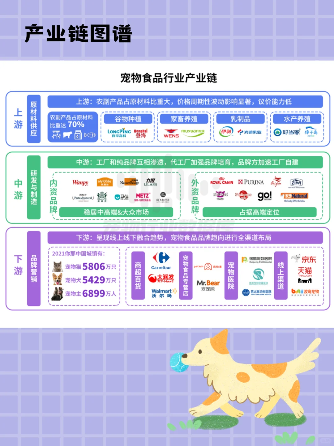宠物行业最大的类目，你够了解吗？