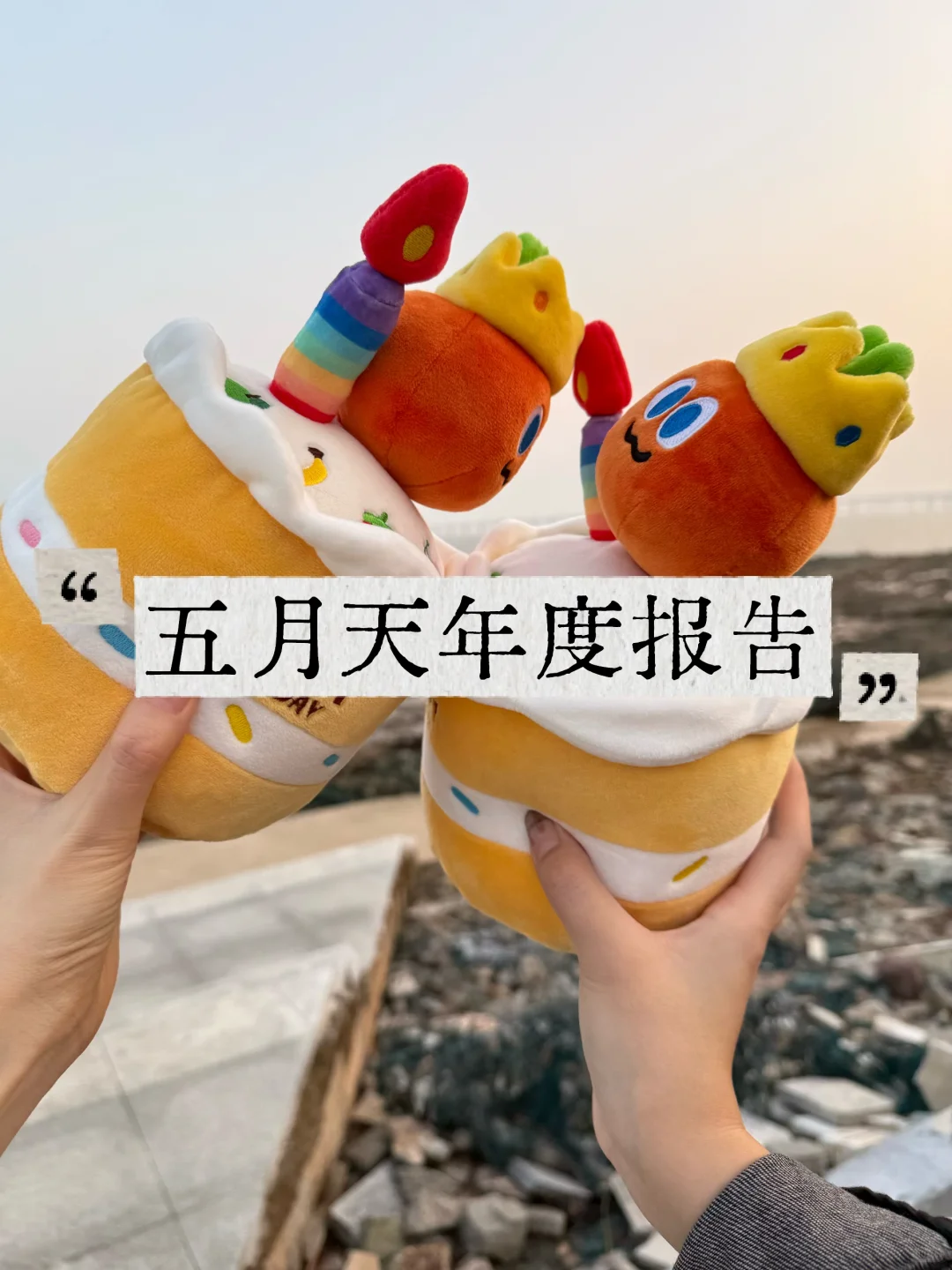 2025年五月天软玻璃年度报告