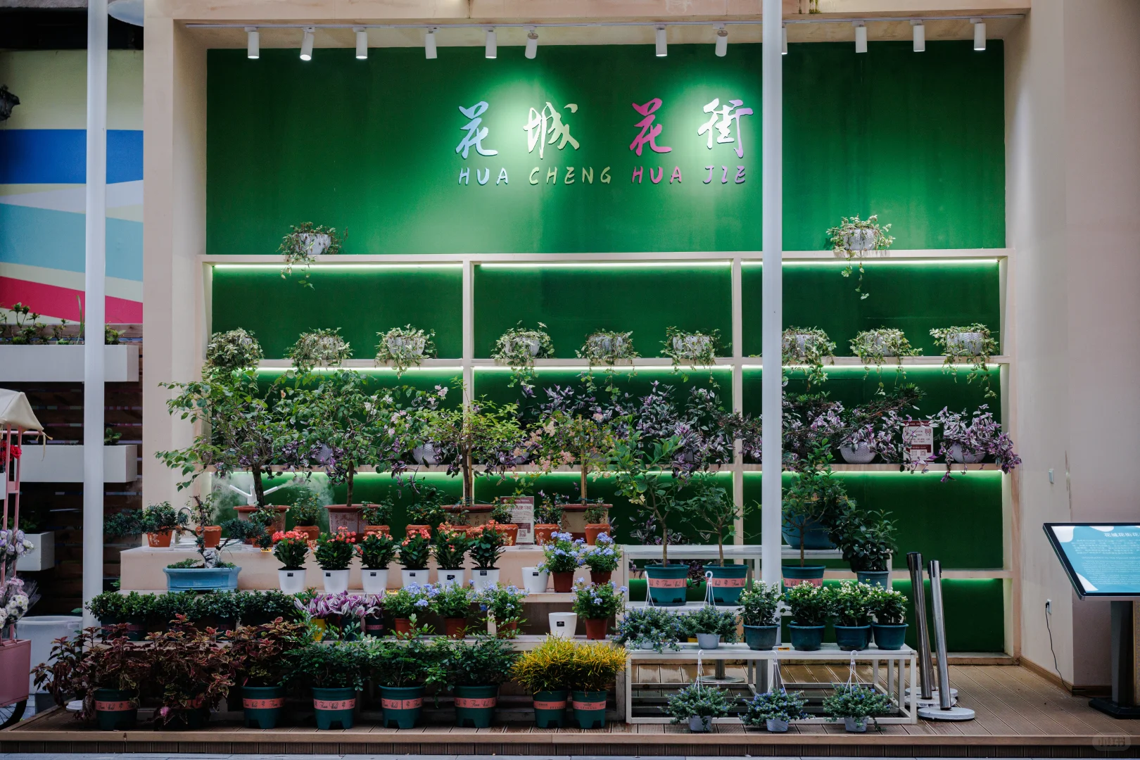 古典与现代完美融合的城市