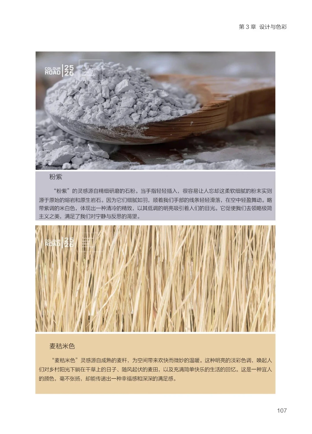 2025 大家居创新趋势研究报告-设计与色彩