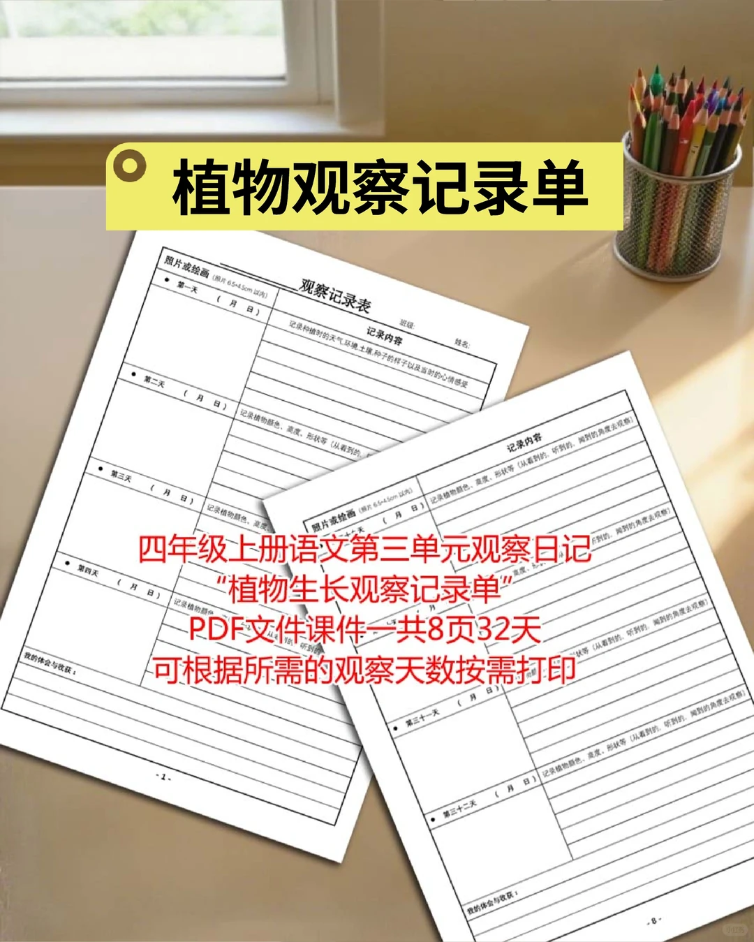 植物观察记录单|四年级上册语文专属