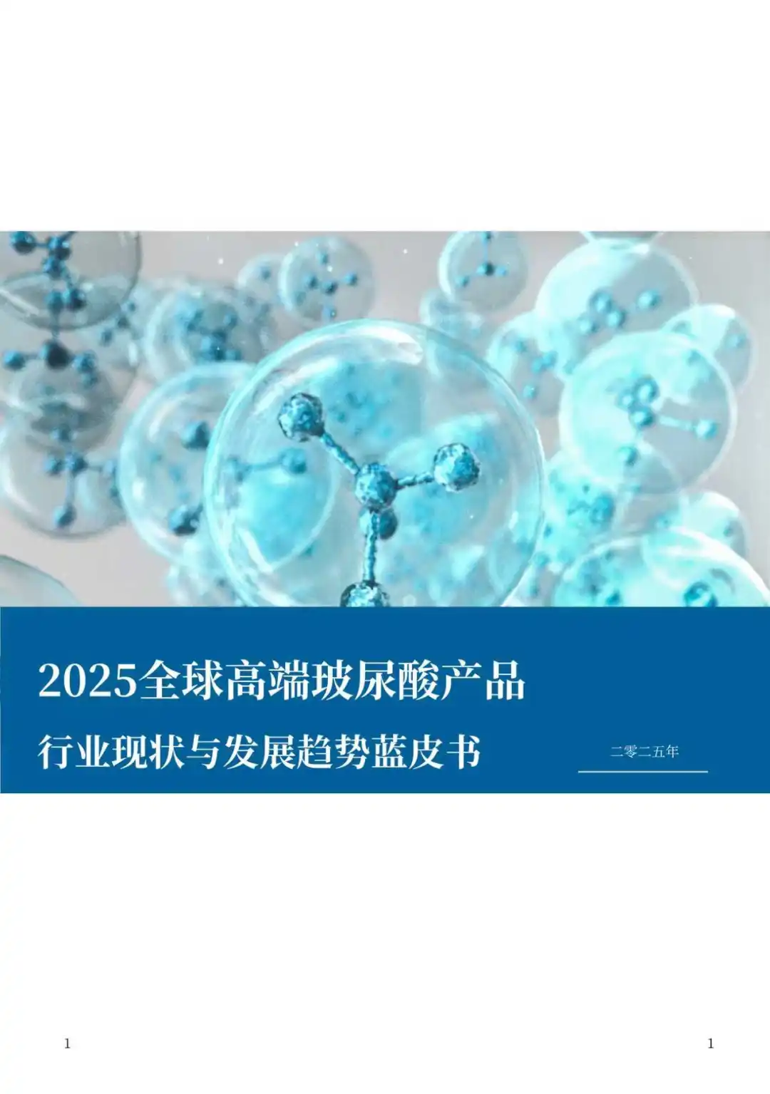 2025全球高端玻尿酸产品行业现状