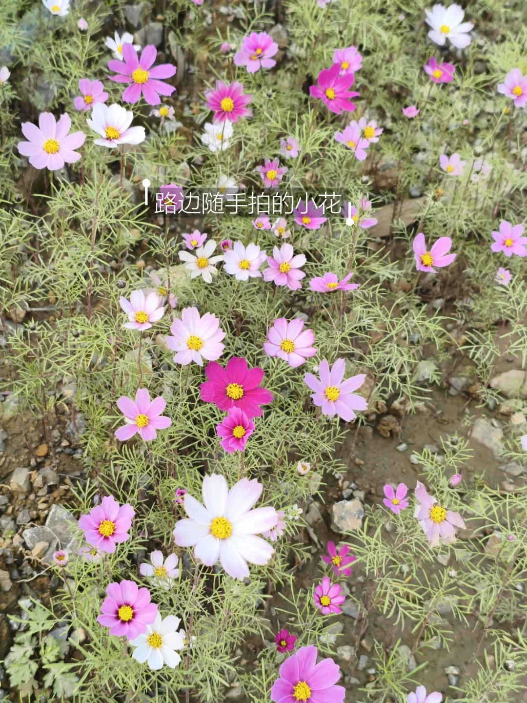 跨境电商选品不要瞎蒙!6个实操角度直接抄