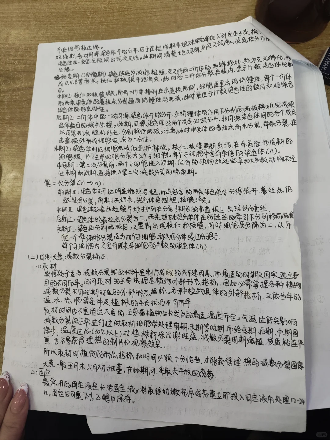 植物减数分裂玻片标本的制备与观察