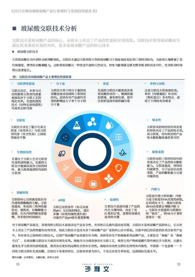 ?2025 高端玻尿酸 技术升级洞察