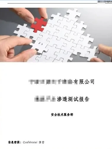 软件安全测试&漏扫、渗透、代码审计报告