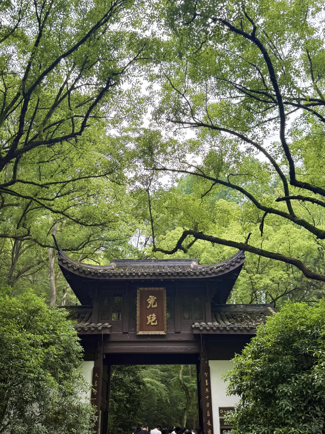 2025年五月天软玻璃年度报告