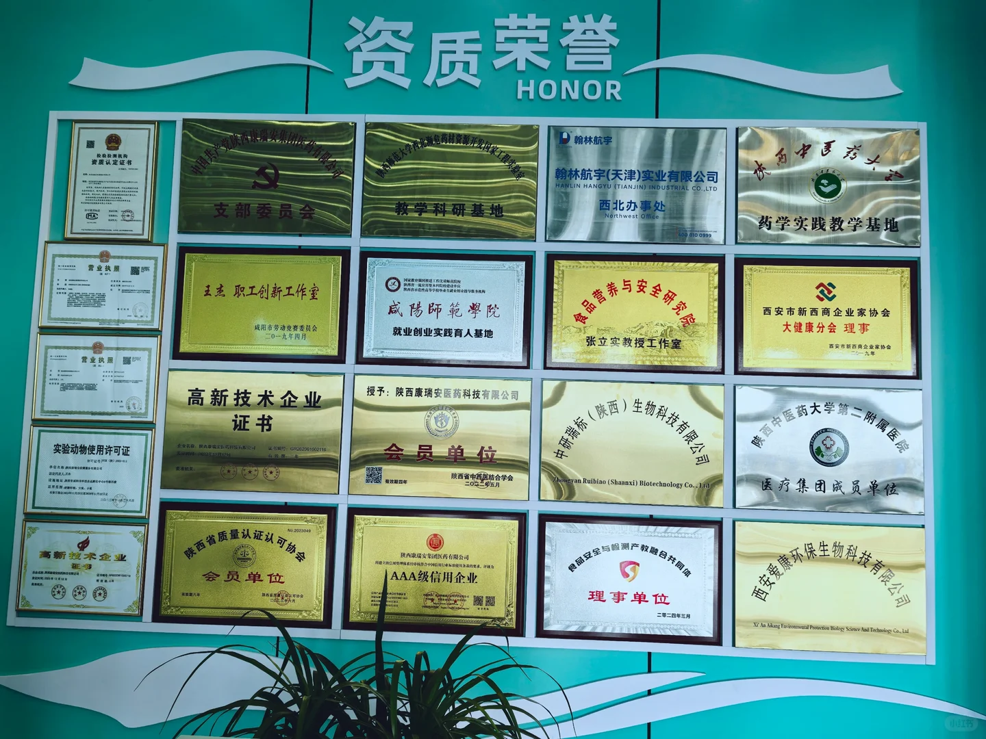 备案检测稳定性报告