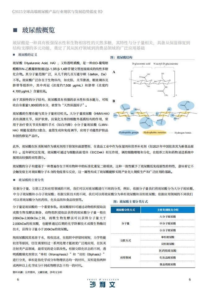 ?2025 高端玻尿酸 技术升级洞察